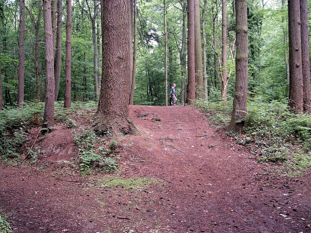 Grafheuvel in het Hallerbos, cop. J. Vandebotermet 2004